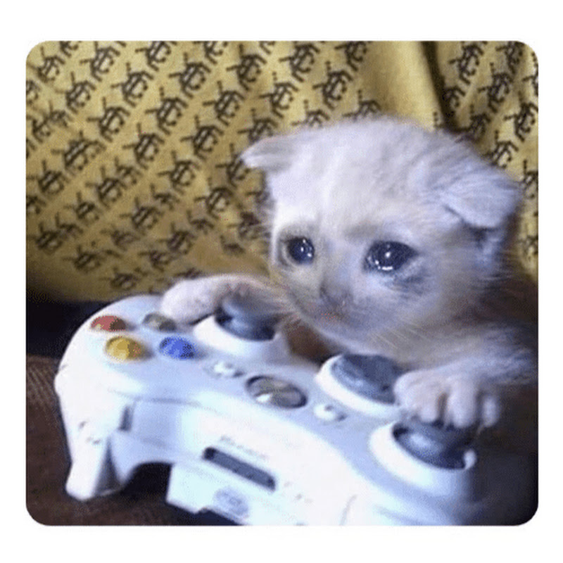 iHateGames