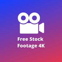 Free Stock Footage 4K Avatar