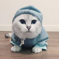 有趣的动物Animals are funnyアイコン画像