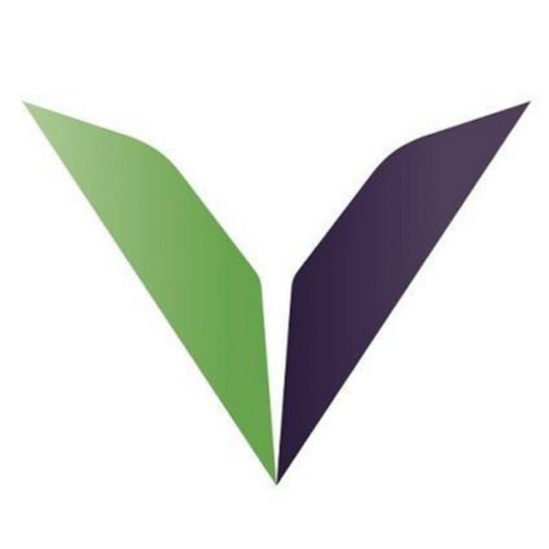 vLoan