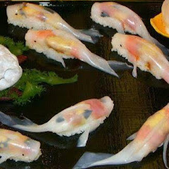 はいぽん
