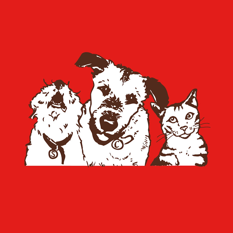 Stella & Chewy's icon