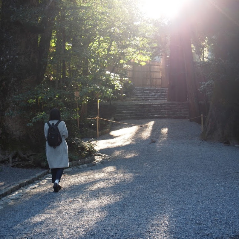 hibi hibiのサムネイル