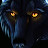 @nightwolf-king