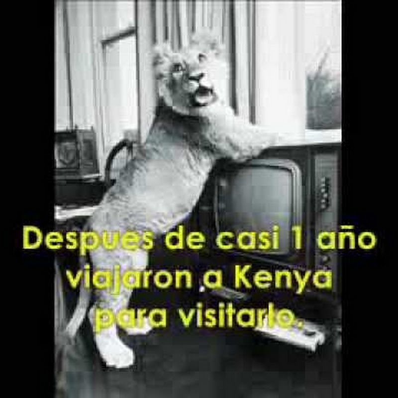EnriqueConde