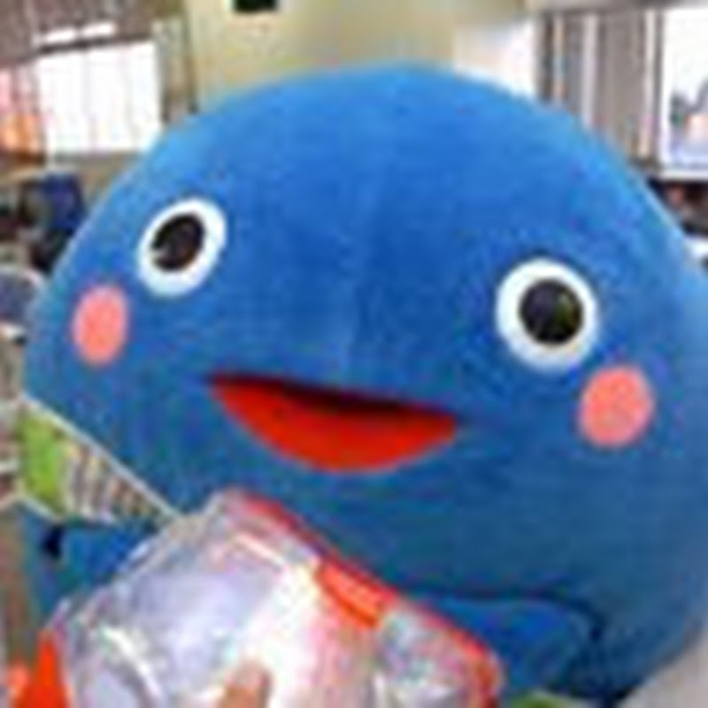 琉球新報 thumbnail