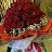 @جاناحبيبتماما