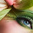 @nethravathi7272 Avatar