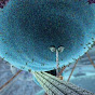 XVIVO Scientific Animation Avatar