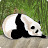 @laurenceV-D Avatar
