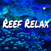 Reef Relax