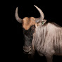 Gnu Cremoso