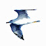 DbVufpnxZAc-channel-avatar-Mister0ics