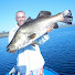 BPeAlFlt9is-channel-avatar-Wardy's Fishing