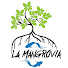 Rebgg0QJAGg-channel-avatar-La Mangrovia