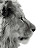 @danielldecamp7516 Avatar