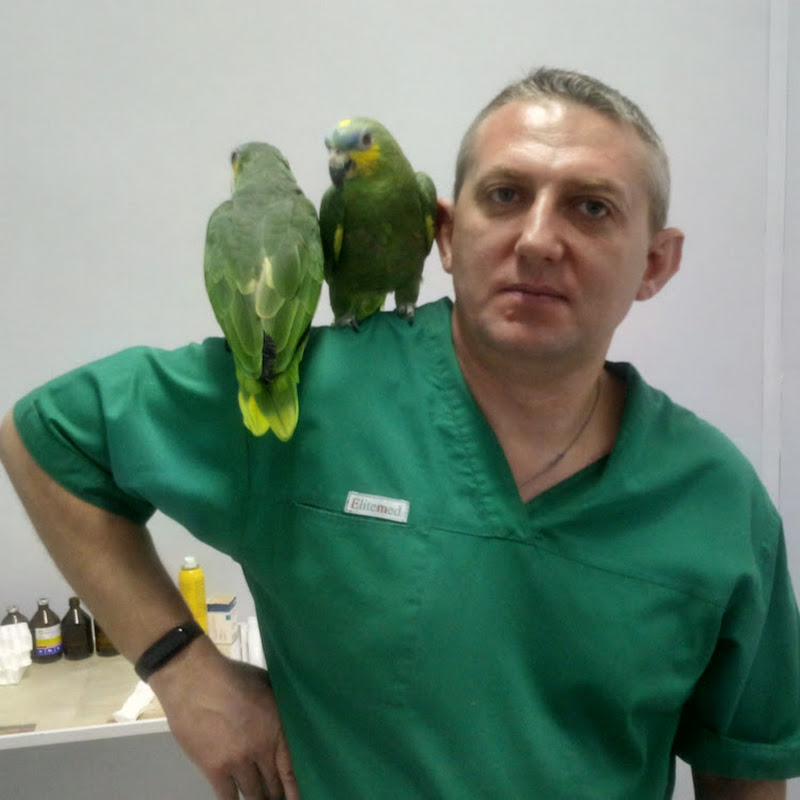 Владимир Чугуевский Logo