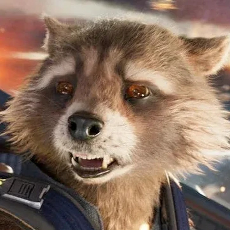 GalacticTrashPandaa