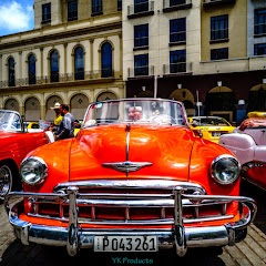 王辰龙アイコン画像