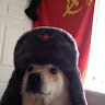 Автор