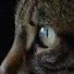 vrsSsuUmFH8-channel-avatar-gael viseux