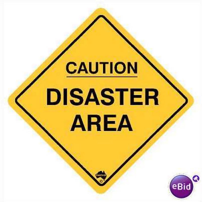 The Natural Disasters