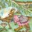 5NWOE5ibz4g-channel-avatar-Jeri Landers of Hopalong Hollow