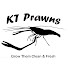 TrUJynJkRkc-channel-avatar-KT Prawns