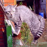 tk0cTcBYVo4-channel-avatar-Dmitry N