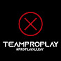 TEAMPROPLAY logo