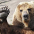 4MGEME5uZrU-channel-avatar-Hollow LeBear