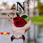 @aminamedhallou4425