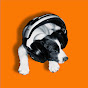 Bean Dog Studios