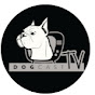 DogCastTv Avatar