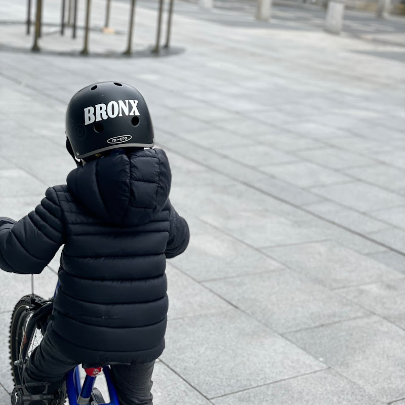Bronx Cseke