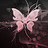 G57jULSZUQ4-channel-avatar-papillon x