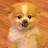@똥깨-b4m