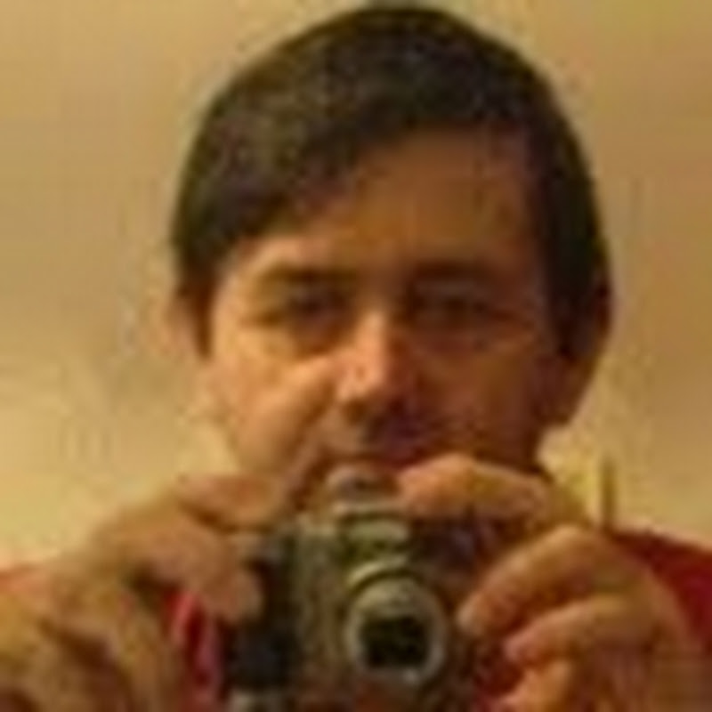 mimmo italiano