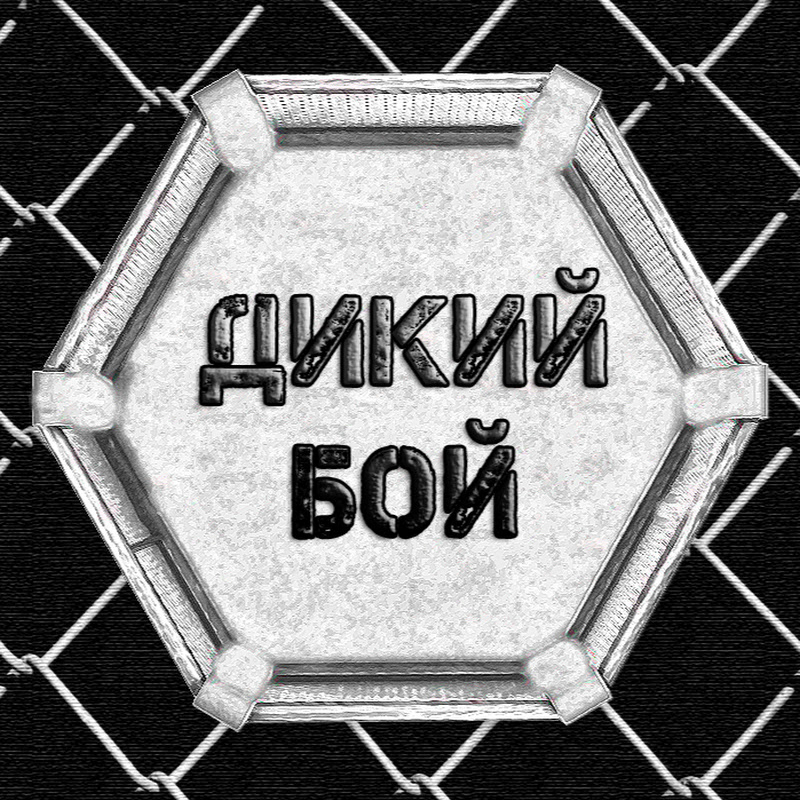 Дикий бой
