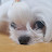 @user-bu9ge2jc6e