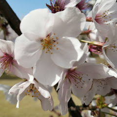 あさみゆ のおうち