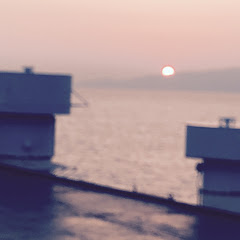 shunshun 333