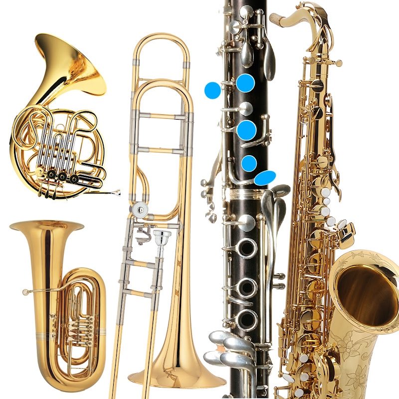 Clarinet Saxophone Oboe Trombone Horn Lessons