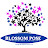 Blossom Pose Multimedia