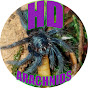 HD Arachnids logo