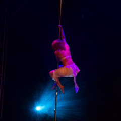 Spin & Fly Pole Dance Nancy Avatar