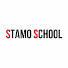 lnlWOLTN1Z8-channel-avatar-Stamo School
