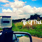 Life Of Thai logo