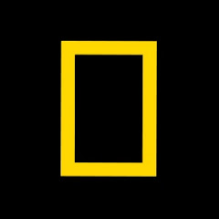 National Geographic India net worth