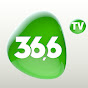 36i6 TV